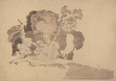 Study of Trees by John Sell Cotman